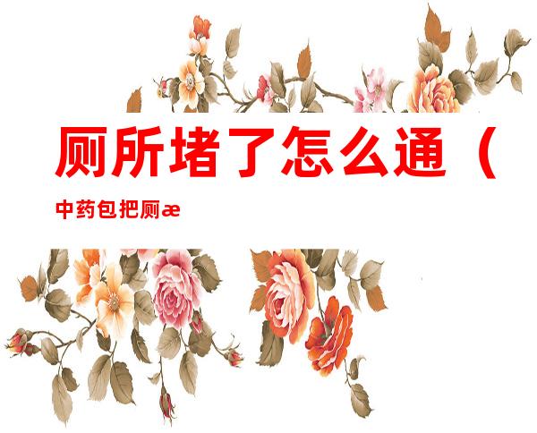 厕所堵了怎么通(中药包把厕所堵了怎么通)