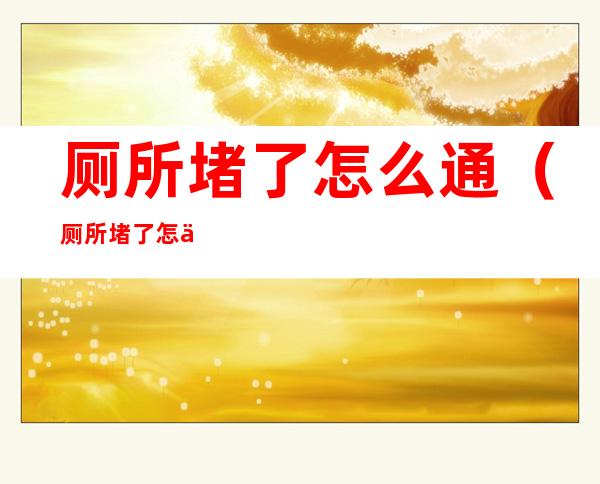 厕所堵了怎么通(厕所堵了怎么通最有效视频)