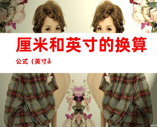 厘米和英寸的换算公式(英寸和毫米米的换算公式)