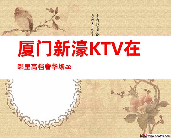 厦门新濠KTV在哪里高档奢华场所