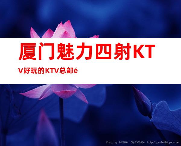厦门魅力四射KTV好玩的KTV总部送果盘啦