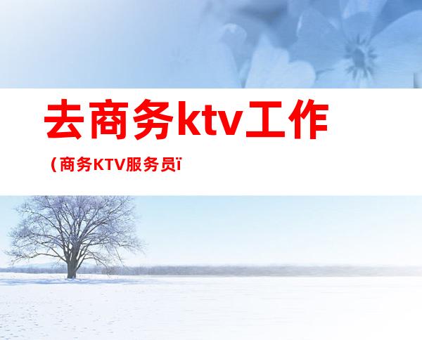 去商务ktv工作(商务KTV服务员)