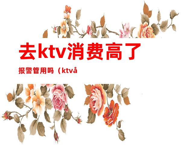 去ktv消费高了报警管用吗(ktv很吵可以报警吗)