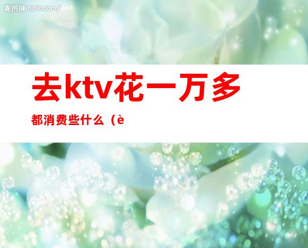 去ktv花一万多都消费些什么(花两千块钱去ktv都能干什么)