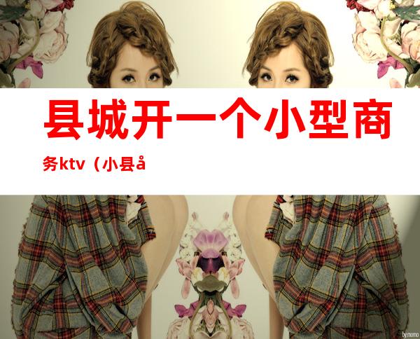 县城开一个小型商务ktv(小县城开小型啤酒厂)