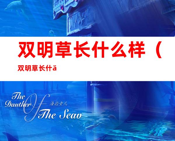 双明草长什么样（双明草长什么样图片）