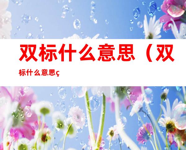 双标什么意思（双标什么意思网络用语）