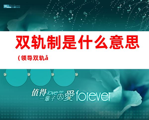 双轨制是什么意思（领导双轨制是什么意思）