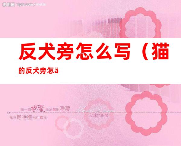 反犬旁怎么写(猫的反犬旁怎么写)