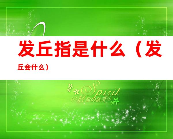 发丘指是什么(发丘会什么)
