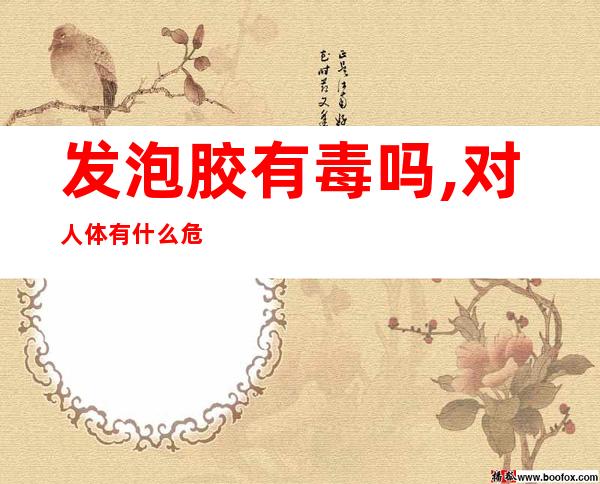 发泡胶有毒吗,对人体有什么危害?（发泡胶对人有什么毒性）