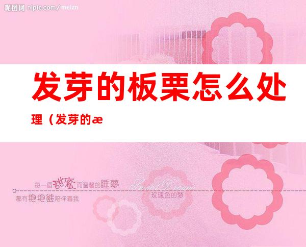 发芽的板栗怎么处理(发芽的板栗怎么处理好吃)