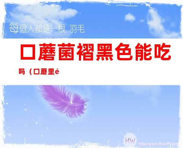 口蘑菌褶黑色能吃吗(口蘑里面的黑色可以吃吗)
