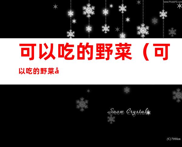 可以吃的野菜(可以吃的野菜图片大全及名字)