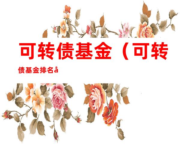 可转债基金（可转债基金排名前十名）