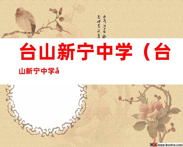 台山新宁中学(台山新宁中学学区划分)
