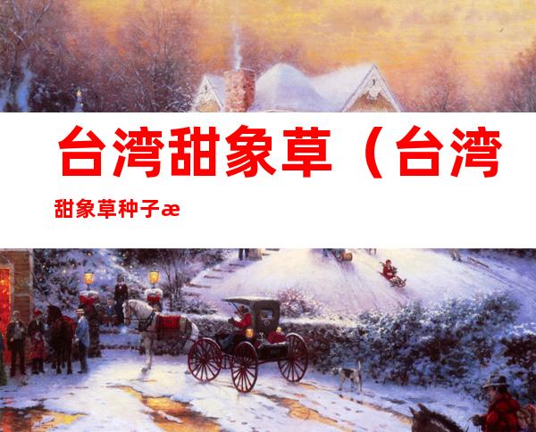 台湾甜象草（台湾甜象草种子怎么种）