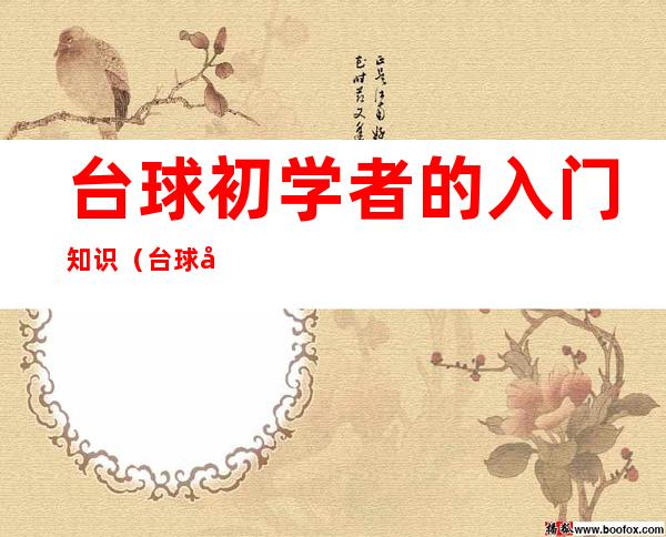 台球初学者的入门知识(台球初学者的入门知识九球介绍)