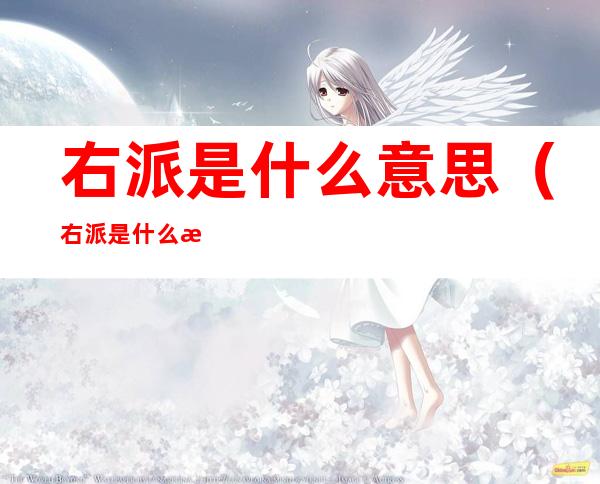 右派是什么意思(右派是什么意思是好是坏)