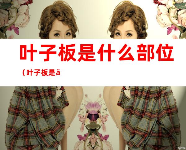 叶子板是什么部位（叶子板是什么部位中间的泡沫怎么上）