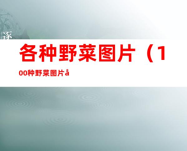 各种野菜图片(100种野菜图片大全图片)