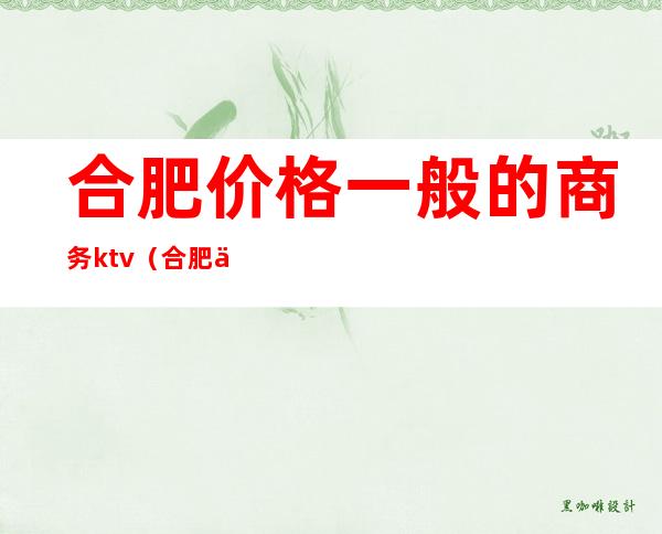合肥价格一般的商务ktv（合肥什么价格）