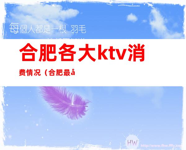 合肥各大ktv消费情况(合肥最大KTV)