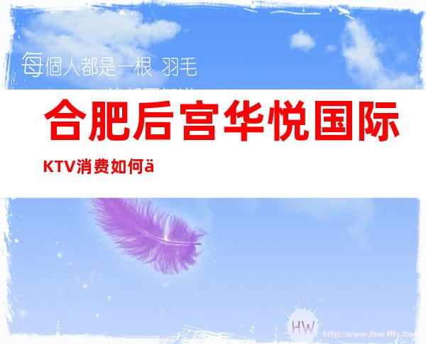 合肥后宫华悦国际KTV消费如何价格多少,节目好玩吗?