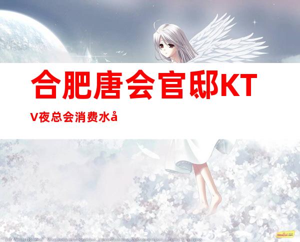 合肥唐会官邸KTV夜总会消费水平,唐会官邸是商务的吗。