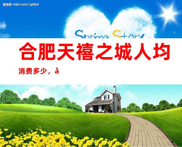 合肥天禧之城人均消费多少,天禧之城有没有畅饮活动?