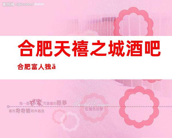 合肥天禧之城酒吧合肥富人独享酒吧之一