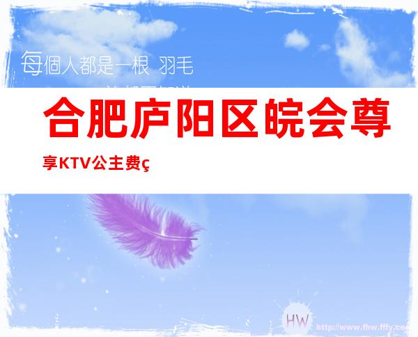合肥庐阳区皖会尊享KTV公主费用多少?包厢预定方式。