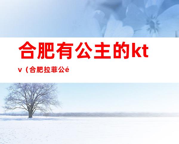 合肥有公主的ktv（合肥拉菲公馆公主）