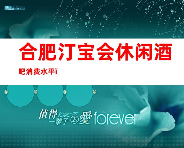合肥汀宝会休闲酒吧消费水平,汀宝会是商务的吗。
