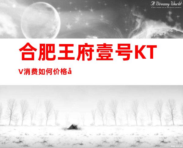 合肥王府壹号KTV消费如何价格多少,节目好玩吗?