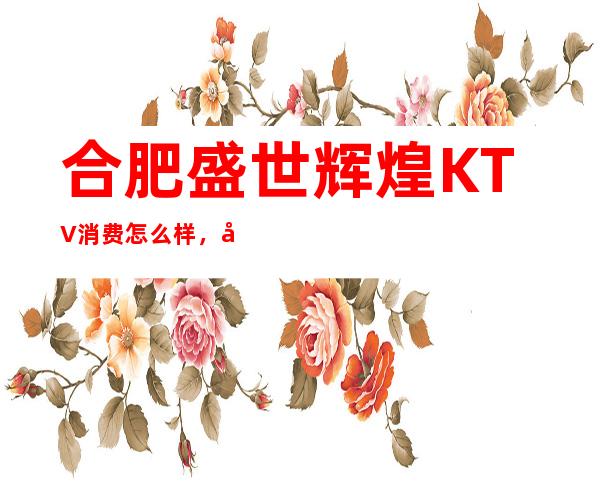 合肥盛世辉煌KTV消费怎么样,包厢低消-人均消费多少。
