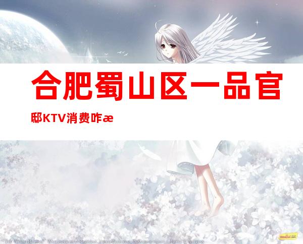 合肥蜀山区一品官邸KTV消费咋样？玩得开吗有什么服务。