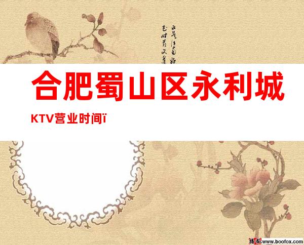 合肥蜀山区永利城KTV营业时间,酒水包厢价格消费表。