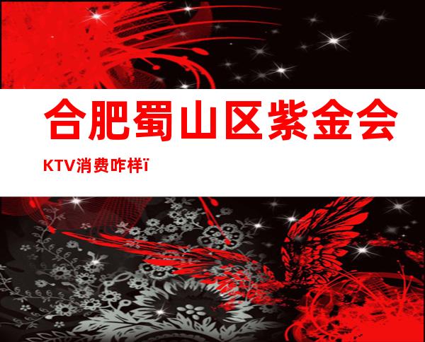 合肥蜀山区紫金会KTV消费咋样?玩得开吗有什么服务。