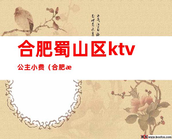 合肥蜀山区ktv公主小费(合肥有哪些ktv带公主)