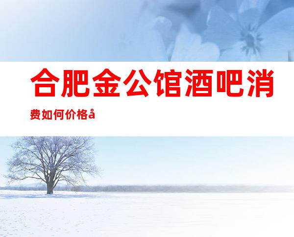 合肥金公馆酒吧消费如何价格多少,节目好玩吗?