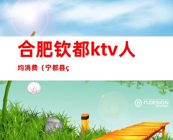合肥钦都ktv人均消费(宁都县盛宴国际kTV)