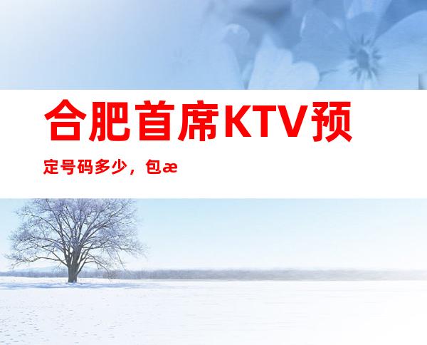 合肥首席KTV预定号码多少,包河区首席消费标准?