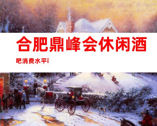 合肥鼎峰会休闲酒吧消费水平,鼎峰会是商务的吗。