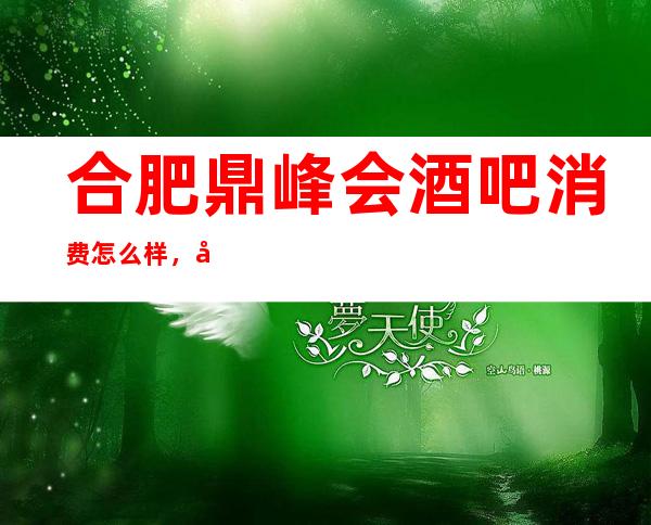 合肥鼎峰会酒吧消费怎么样,包厢低消-人均消费多少。