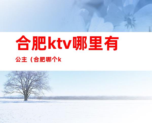 合肥ktv哪里有公主(合肥哪个ktv有公主)