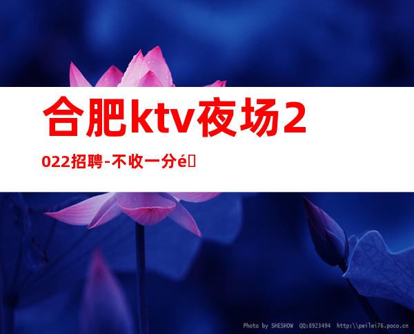 合肥ktv夜场2022招聘-不收一分钱稳定捞金-求职在线咨询