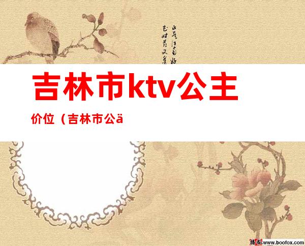 吉林市ktv公主价位(吉林市公主佳丽ktv电话)