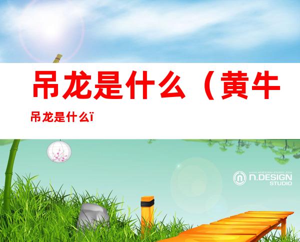 吊龙是什么(黄牛吊龙是什么)