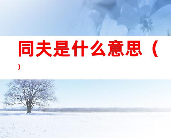 同夫是什么意思()